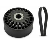 INA 529 0172 10 V-Ribbed Belt Set