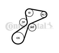 CONTITECH 5PK1105K1 V-Ribbed Belt Set