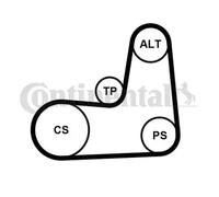 CONTITECH 5PK1135K2 V-Ribbed Belt Set