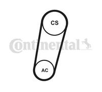 Multi-ribbed V-belt kit 5PK705 ELAST T1 CONTINENTAL CTAM for VOLVO FORD