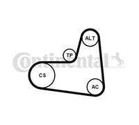 Multi-ribbed V-belt kit 6PK1005K1 CONTINENTAL CTAM for AUDI VW SEAT SKODA CUPRA