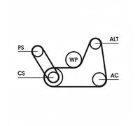 Multi-ribbed V-belt kit 6PK1019 ELAST T1 CONTINENTAL CTAM for FORD MAZDA