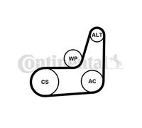 2x ✅Fits CONTITECH 6PK1019 ELAST T2 MULTI V-BELT ELAST + TOOL ⭐UK Seller⭐