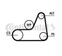 Multi-ribbed V-belt kit 6PK1042 ELAST T1 CONTINENTAL CTAM for FORD MAZDA