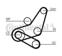 Multi-ribbed V-belt kit 6PK1059 ELAST T2 CONTINENTAL CTAM for FORD VOLVO