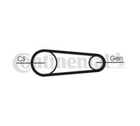 CONTITECH 6PK842 ELAST T1 Serpentine belt