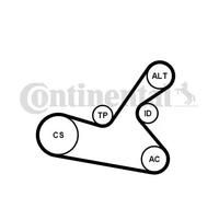 CONTITECH 6PK1125K1 V-Ribbed Belt Set