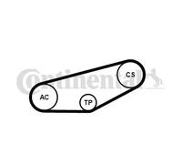CONTITECH 4PK855K1 V-Ribbed Belt Set