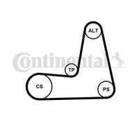 Multi-ribbed V-belt kit incl. tensioner pulley 5PK1110K1 CONTINENTAL CTAM