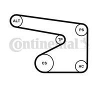 New V-Ribbed Belt Set for OPEL SUZUKI VAUXHALL:AGILA,VITA B,VITA C,ASTRA H