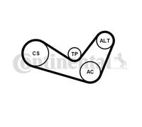 Multi-ribbed V-belt kit incl. tensioner pulley 6PK1050K1 CONTINENTAL CTAM for VW