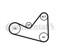 Multi-ribbed V-belt kit incl. tensioner pulley 6PK1050K3 CONTINENTAL CTAM