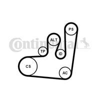 CONTITECH 6PK1145K1 V-Ribbed Belt Set