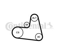 CONTITECH 6PK1217K1 V-Ribbed Belt Set