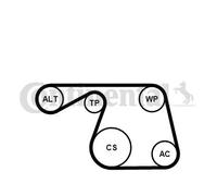 Multi-ribbed V-belt kit incl. tensioner pulley 6PK1310K1 CONTINENTAL CTAM