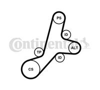 Multi-ribbed V-belt kit incl. tensioner pulley 6PK1345K1 CONTINENTAL CTAM