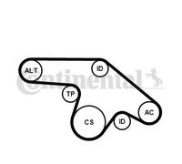 Multi-ribbed V-belt kit incl. tensioner pulley 6PK1370K1 CONTINENTAL CTAM
