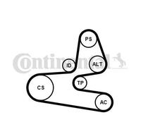 Multi-ribbed V-belt kit incl. tensioner pulley 6PK1564K1 CONTINENTAL CTAM