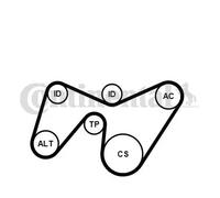 Multi-ribbed V-belt kit incl. tensioner pulley 6PK1642K2 CONTINENTAL CTAM