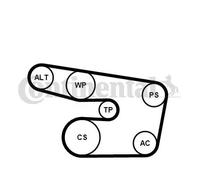 Multi-ribbed V-belt kit incl. tensioner pulley 6PK1873K3 CONTINENTAL CTAM