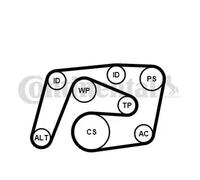 CONTITECH 6PK2260K1 V-Ribbed Belt Set