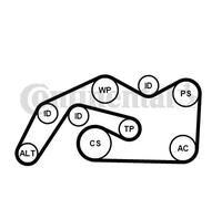 CONTITECH V-ribbed belt set 6PK2490K1 AUDI: A6 C6 Avant, A6 C6 Saloon, A4 B7 Avant