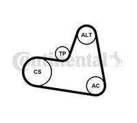 Multi-ribbed V-belt kit incl. tensioner pulley 6PK962K1 CONTINENTAL CTAM