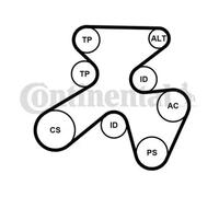 CONTITECH 7PK1855K1 V-Ribbed Belt Set