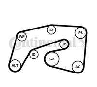 CONTITECH 7PK2035K1 V-Ribbed Belt Set