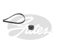 GATES K014PK905 V-Ribbed Belt Set