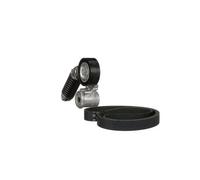 GATES K016PK1029EST V-Ribbed Belt Set