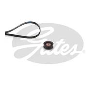GATES K016PK1249SF V-Ribbed Belt Set