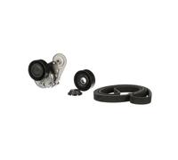 GATES K046DPK1825 V-Ribbed Belt Set