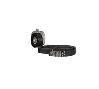 GATES K046PK1203 V-Ribbed Belt Set
