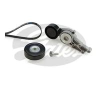 GATES K056PK1590 V-Ribbed Belt Set