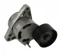 Multi-ribbed V-belt tensioner 1218201700 JP GROUP for RENAULT NISSAN OPEL