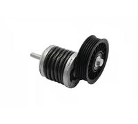Multi-ribbed V-belt tensioner 19030026801 vika for AUDI VW