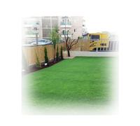 Multi-Use Artificial Grass Mat with Drainage Holes， for Patio, Garden, Balcony, Playground, Pet Potty Training, Realistic Fake Turf Indoor Outdoor Rug(1.5x6m/5x20ft)