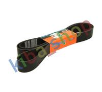 MULTI-V-BELT 12PK2500 FITS MERCEDES ACTROS ACTROS MP2 / MP3 TRAVEGO O 580