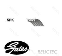 Gates 5PK985 V-Ribbed Belt