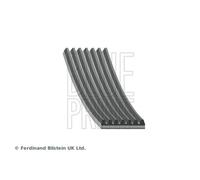 BLUE PRINT AD07R1666 Serpentine belt