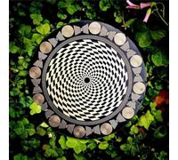 Multi-Wave Oscillator Polarizing Disk, Harmonic & Chakra Balancing Plate for Water Energization, Meditation, Crystal Care, Yoga Reiki & Home Decor Gift(Black)