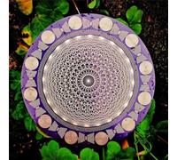 Multi-Wave Oscillator Polarizing Disk, Harmonic & Chakra Balancing Plate for Water Energization, Meditation, Crystal Care, Yoga Reiki & Home Decor Gift(Purple)