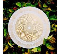 Multi-Wave Oscillator Polarizing Disk with Harmonic Balancing & Water Energization, Chakra Balancing Meditation Tool for Home Decor and Crystal Care, Yoga Reiki Crystal Lovers Gift(White)