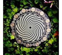 Multi-Wave Oscillator Polarizing Disk with Harmonic Balancing & Water Energization, Chakra Balancing Meditation Tool for Home Decor and Crystal Care, Yoga Reiki Crystal Lovers Gift(Bla-ck)