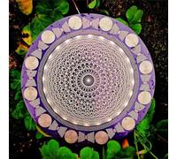 Multi-Wave Oscillator Polarizing Disk with Harmonic Balancing & Water Energization, Chakra Balancing Meditation Tool for Home Decor and Crystal Care, Yoga Reiki Crystal Lovers Gift(Purple)