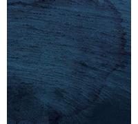 Multicast Dynamics - Aquatic System [VINYL]