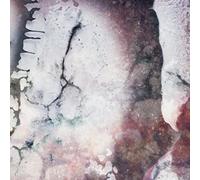 Multicast Dynamics - Outer Envelopes [VINYL]