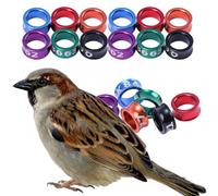 Multicolor Lightweight Bird Leg Bands 4mm-8mm - Aluminum Closed, Rust-Proof - ID Rings for Lovebirds & Parakeets - Cage Birds, Durable Set 6mm colors randomly mixed 50 pieces
