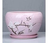 Multicolor Marble Pattern Fleshy Plant Pots with Drain Hole and Saucer,Small to Medium to Large Sized Round Modern Ceramic Garden Flower Pots for Garden Flowers, Cactus Plant (Multicolor 12.2cm)